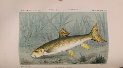 Portada de La P�che et les Poissons. Nouveau Dictionnaire G�n�ral des P�ches - H. de La Blanch�re