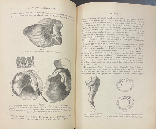 Portada de Trait� de Paleontologie - Karl A. Zittel