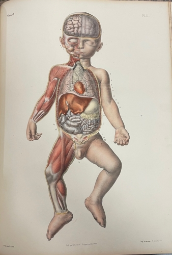 Portada de Trait� Complet de L'Anatomie de L'Homme comprenant L'Anatomie Chirurgicale et La M�decine Op�ratoire. Tomo VIII. Embryog�nie  - Bourgery et Claude Bernard