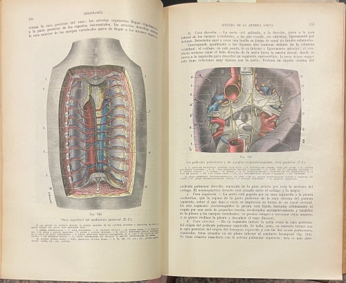 Portada de Tratado de Anatomia Humana - L. Testut