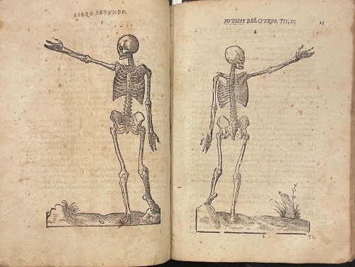 Portada de Varia Conmensuracion para la Escultura y Arquitectura - Juan de Arfe y Villafa�e