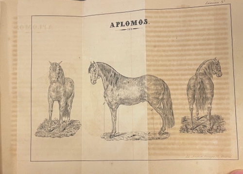 Portada de Manual de Veterinaria. Conocimientos indispensables del Exterior del Caballo y sus Enfermedades - Pedro Briones y Juan Abdon Nieto