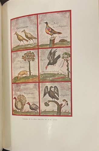 Portada de Cat�logo De La Real Biblioteca. Autores-Historia.  - Juan Gualberto L�pez-Valdemoro de Quesada, Conde de las Navas