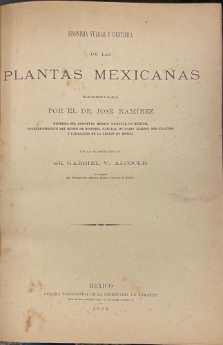 Portada de Sinonimia Vulgar y Cient�fica de las Plantas Mexicanas - Jos� Ram�rez. Gabriel V. Alcocer