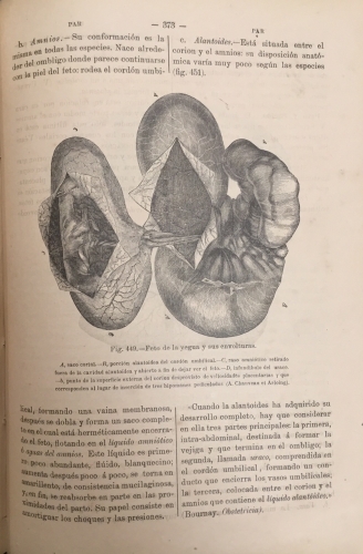 Portada de Diccionario de Veterinaria - P. Cagny y H. J. Gobert