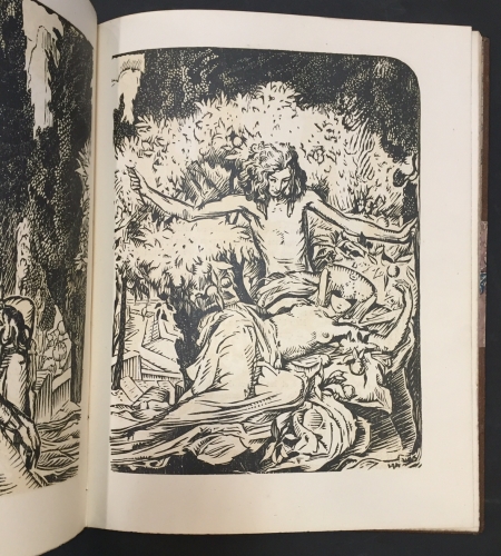 Portada de Le Cantique des Cantiques - Franz Toussaint, Marceul Roux