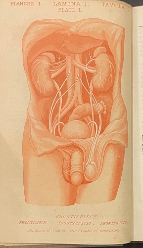 Portada de El Discreto Amigo. Tratado pr�ctico de anatom�a y Fisiologia de los �rganos generadores y de sus enfermedades.. - R. y L. Perry y Compa��a