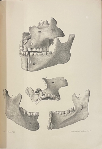 Portada de Commissao Geologica de Portugal. Da Existencia do Homem em Epochas Remotas no Valle do Tejo. Primeiro Opusculo. Noticia sobre os esqueletos humanos descobertos no Cabe�o da Arruda - F. A. Pereira da Costa
