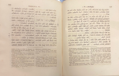 Portada de Evangelia Sancta, Necnon Acta Apostolorum Syriace Cum Interpretationes Latina