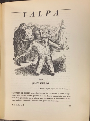 Portada de Am�rica. Revista Antologica de Literatura. N� 62, Enero de 1950. Talpa. Juan Rulfo - Juan Rulfo