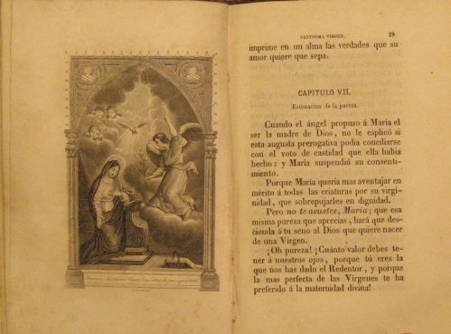 Portada de Imitaci�n De La Sant�sima Virgen Seg�n El Modelo De La Imitaci�n De Jesucristo - Padre Derouville