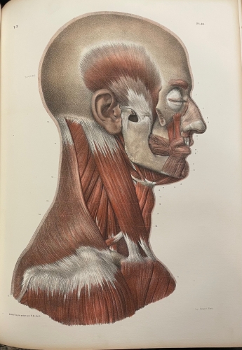 Portada de Trait� Complet de L'Anatomie de L'Homme comprenant L'Anatomie Chirurgicale et La M�decine Op�ratoire. Tomo I y II. Ost�ologie - Syndesmologie. Myologie-Apon�vrologie - Bourgery et Claude Bernard