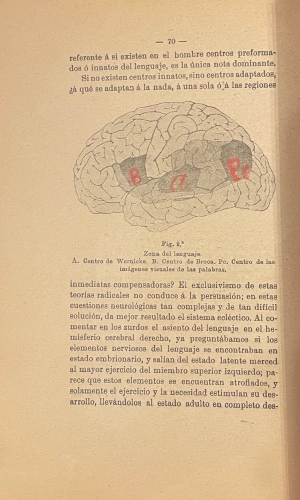 Portada de Traumatismos Craneocerebrales - Vicente Fidalgo Tato
