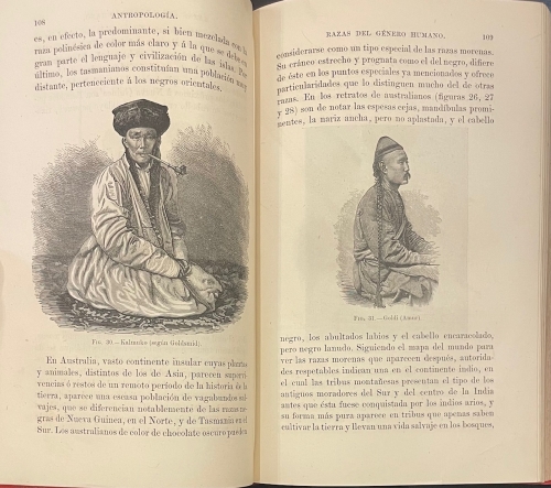 Portada de Antropolog�a. - Edward B. Tylor