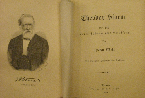 Portada de Theodor Storm. Ein Bild seines Lebens Und Schaffens.  - Theodor Wehl