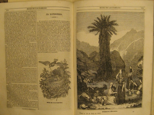 Portada de Museo De Las Familias. Peri�dico Mensual Publicado y Dirigido Por Mellado. 1844