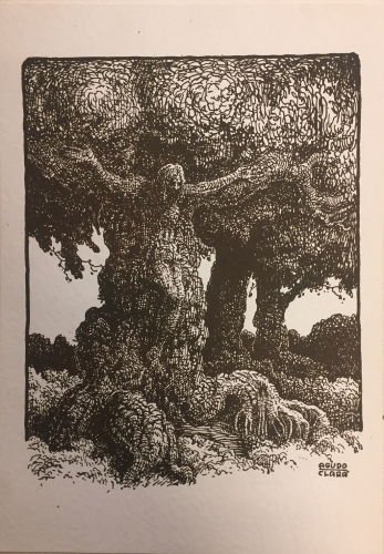 Portada de Visiones De Paisaje. Dibujos a La Pluma - Ignacio Agudo Clar�