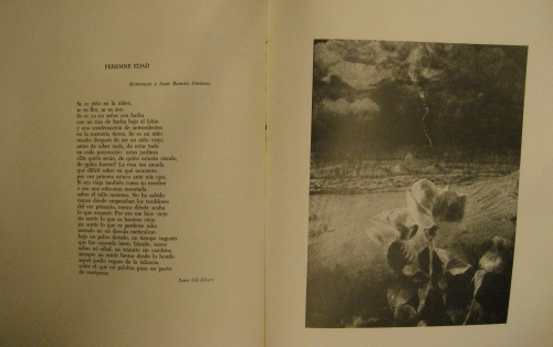 Portada de A Juan Ramon Jimenez - Libro homenaje. 
