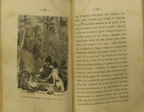 Portada de El Robinson De Doce A�os. Historia Interesante De Un Grumete Frances Abandonado En Una Isla Desierta