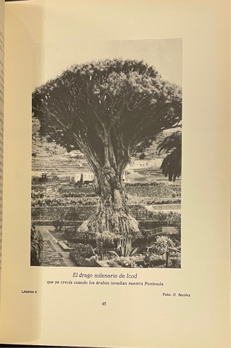 Portada de Canarias en la brecha. Compendio de Historia Militar. - C. Martinez de Campos Y Serrano