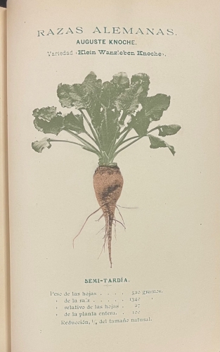 Portada de Tratado del Cultivo de la Remolacha Azucarera - Jorge Dureau