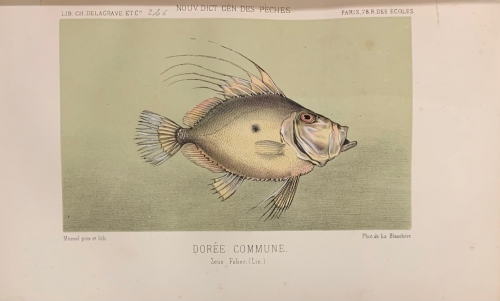 Portada de La P�che et les Poissons. Nouveau Dictionnaire G�n�ral des P�ches - H. de La Blanch�re