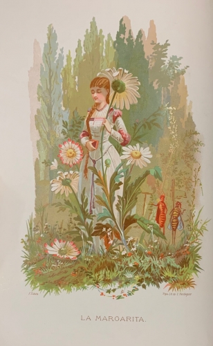 Portada de La Vida de las FLores - Alfonso Karr y Taxile Delord