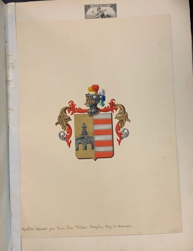 Portada de Real Despacho de Nobleza y Armas del Sr. Antonio de Arcos y Arlegui por el Cronista de Armas D. Juan Jose Vilar Psayla. 