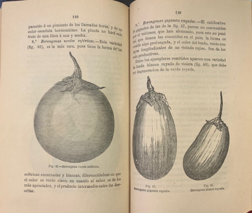 Portada de Cultivo perfeccionado de las Hortalizas con todos los adelantos modernos en el arte de forzarlas y bajo el punto de vista forrajero, del embalaje, transporte y conservaci�n - Diego Navarro Soler