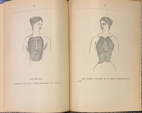 Portada de Teoria del Canto. Catecismo de Anatomia y Fisiologia del Organo Vucal - Ricardo A. Lodoza. Pablo de Bengardi