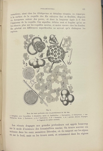 Portada de Trait� de Paleontologie - Karl A. Zittel