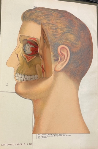 Portada de El M�dico en Casa. Gran Enciclopedia pr�ctica ilustrada de Medicina e Higiene - Fournol, Heiser y Samne