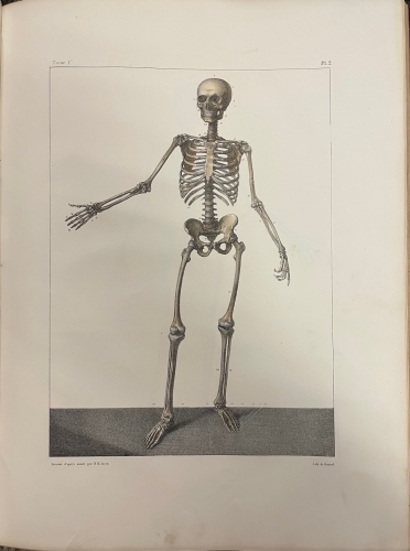Portada de Trait� Complet de L'Anatomie de L'Homme comprenant L'Anatomie Chirurgicale et La M�decine Op�ratoire. Tomo I y II. Ost�ologie - Syndesmologie. Myologie-Apon�vrologie - Bourgery et Claude Bernard