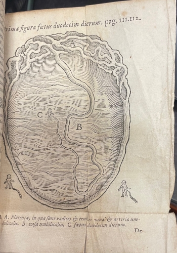 Portada de De Integritatis et Corruptionis Virginum Notis. Enneas Muliebris. De Origine Partium. De Septo Cordis Pervio. De Notis Virginitatis - Severin Pineau. Ludovico Bonaccioli. Felix Platter. Pierre Gasendi. Melchor Sebisch