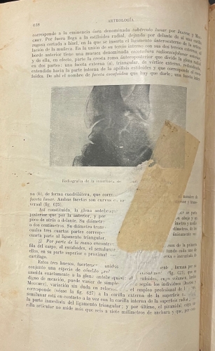 Portada de Tratado de Anatomia Humana - L. Testut