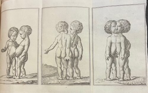 Portada de L'Art de Procreer les Sexes a Volonte ou Histoire Physiologique de la Generation Humaine - Jacques-Andre Millot