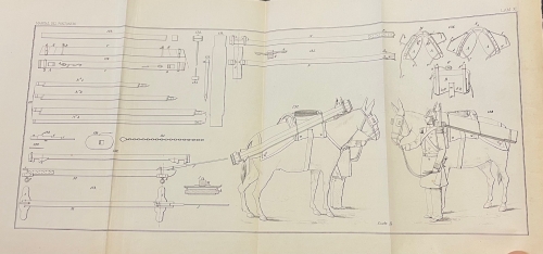 Portada de Manual del Pontonero. Comprende Todos Los Detalles De La instrucci�n del Soldado, Las Maniobras De Los Trenes, Rodado y � Lomo y el Servicio Que Desempe�a El Pontonero En Campa�a - Carlos Iba�ez e Iba�ez y Juan Modet y Eguia