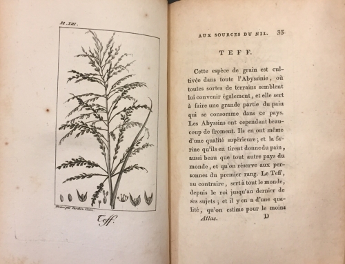 Portada de libro