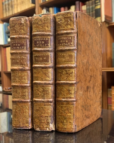 Portada de Histoire Naturelle des Animaux - Arnault de Nobleville