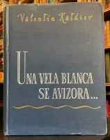 Portada de libro Una Vela Blanca se Avizora