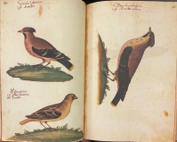 Portada de libro Atlas de Historia Natural. Cdice Pomar.