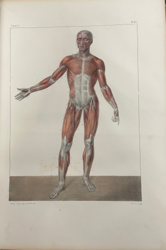 Portada de Trait� Complet de L'Anatomie de L'Homme comprenant L'Anatomie Chirurgicale et La M�decine Op�ratoire. Tomo I y II. Ost�ologie - Syndesmologie. Myologie-Apon�vrologie - Bourgery et Claude Bernard