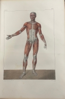 Portada de libro Trait� Complet de L'Anatomie de L'Homme comprenant L'Anatomie...