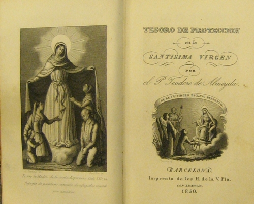 Portada de Tesoro De Protecci�n En La Santisima Virgen - Teodoro De Almeyda