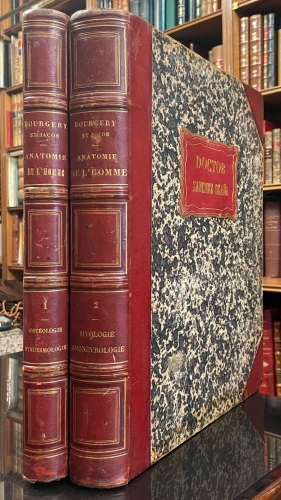Portada de Trait� Complet de L'Anatomie de L'Homme comprenant L'Anatomie Chirurgicale et La M�decine Op�ratoire. Tomo I y II. Ost�ologie - Syndesmologie. Myologie-Apon�vrologie - Bourgery et Claude Bernard