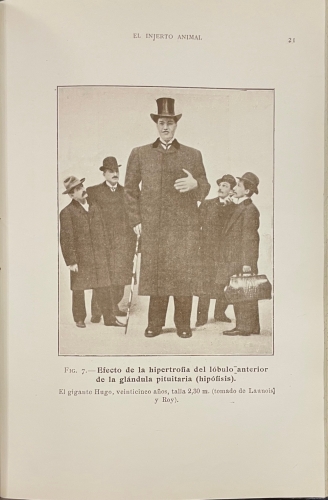 Portada de �tude sur la Vieillesse et le Rajeunissement par la Greffe. El Injerto Animal. Sus ventajosas aplicaciones a la ganader�a - Serge Voronoff