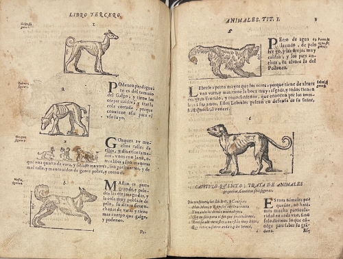 Portada de Varia Conmensuracion para la Escultura y Arquitectura - Juan de Arfe y Villafa�e