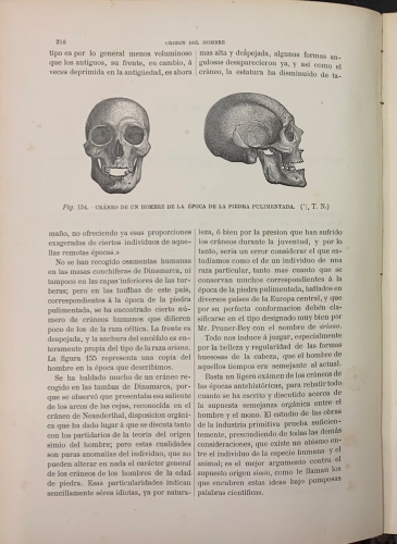 Portada de El Mundo antes de la Creaci�n del Hombre. El Hombre y el Animal - Figuier y Zimmermann. Arturo Mangin