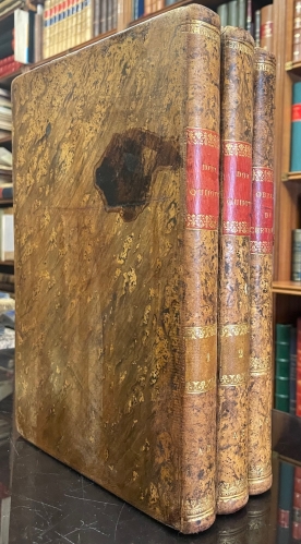 Portada de El Ingenioso Hidalgo Don Quijote de la Mancha. Novelas Ejemplares - Miguel de Cervantes Saavedra