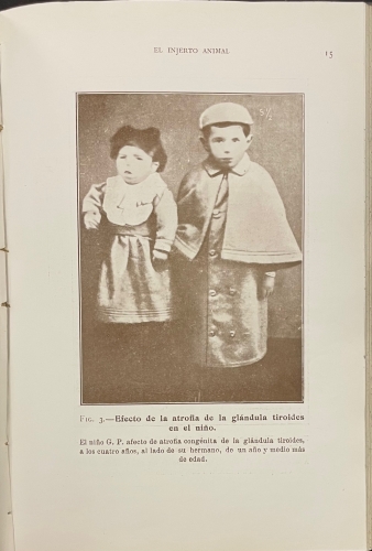 Portada de �tude sur la Vieillesse et le Rajeunissement par la Greffe. El Injerto Animal. Sus ventajosas aplicaciones a la ganader�a - Serge Voronoff